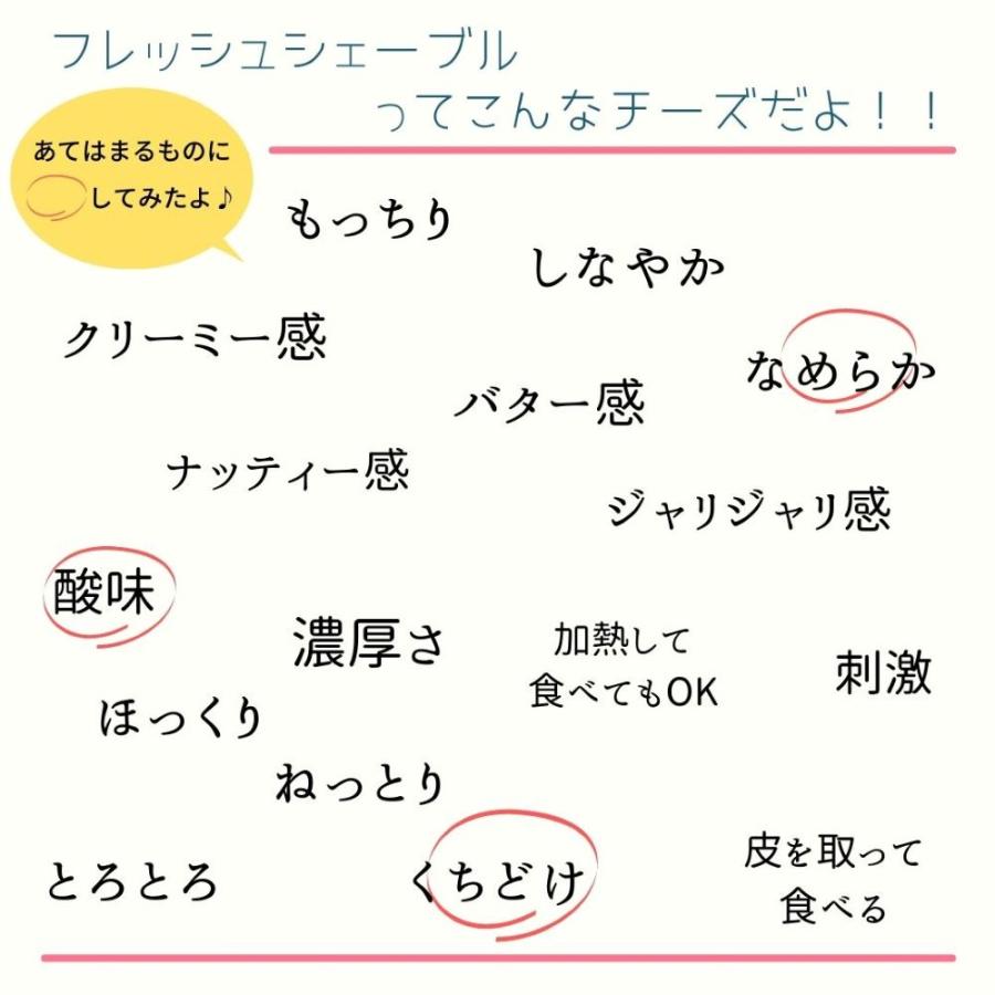 ソワニヨン ブシェット シェーブル 125g ナチュラルチーズ フランス産 シェーブルチーズ 山羊乳 チーズ プレーン はちみつ ガーリック ハーブ