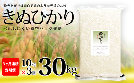 きぬひかり 白米 5kg×2袋×3回 3ヶ月連続 定期便 30kg 真空パック キヌヒカリ 米 簡易梱包 エコ梱包