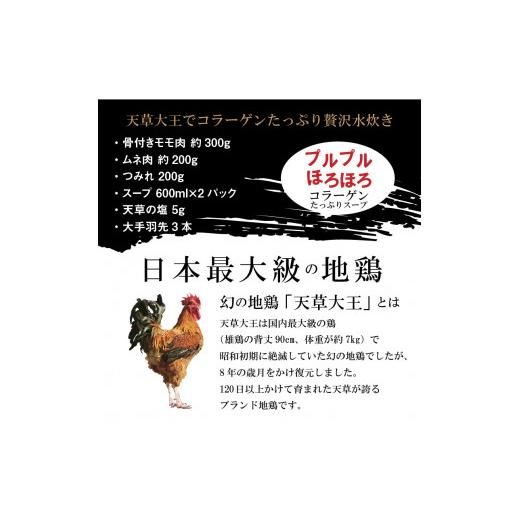 ふるさと納税 熊本県 天草市 S081-007_天草大王水炊きセット 3~4人前