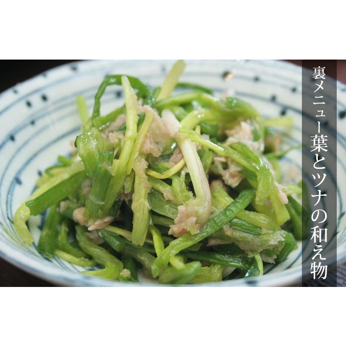 島らっきょう(約2kg)　