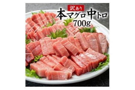 本マグロ訳あり中トロ700g！解凍レシピ付