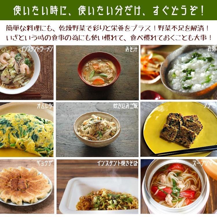 国産 乾燥野菜グリーンミックス ほうれん草マシマシ 100g×2 計200g   チャック付