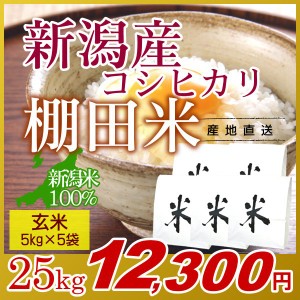 お米 25kg 玄米 棚田米 新潟産コシヒカリ (5kg×5袋) 令和5年産 新米   米 高級銘柄米 新潟米 ブランド米 新潟 新潟県産 国内産 人気 お