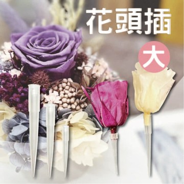 花泥插 永生花材料 乾燥花材料 手作材料 使用於乾花泥 可製作永生花盅盆 不同運用