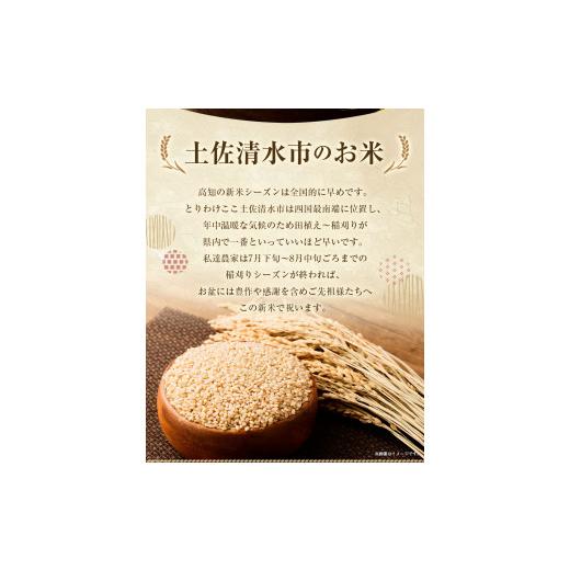 ふるさと納税 高知県 土佐清水市 令和6年産 新米コシヒカリ玄米５kg（１袋）お米 健康食品 食物繊維