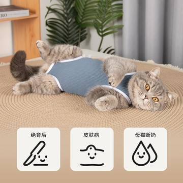 【48時熱賣】貓咪絕育服可調節寵物術後服斷奶服防護服防掉毛防咬透氣母貓專用