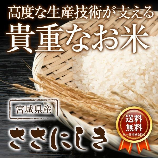 新米 ササニシキ 宮城県産 米 試し2合 お米 300g 令和5年産 宮城県産 白米 送料無料 精白米 クロネコゆうパケット