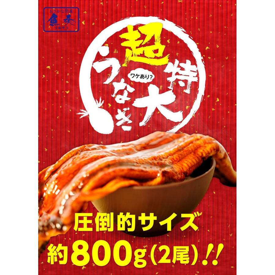 うなぎ長焼 380g〜400g×2本 炭火焼 訳あり 超ビッグサイズ 父の日 ウナギ 鰻 在宅 敬老 在宅応援 中元 お歳暮 化粧箱 ギフト うなぎ