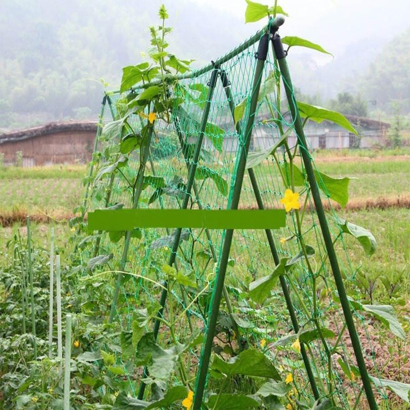 つる植物 ネット つる栽培ネット 園芸ネット かんたん ガーデニングネット 10cm角目 農業用 園芸用