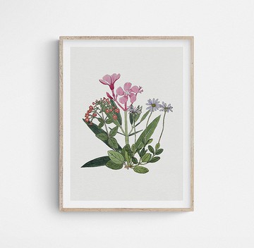 植物藝術印刷海報印刷家居裝飾畫