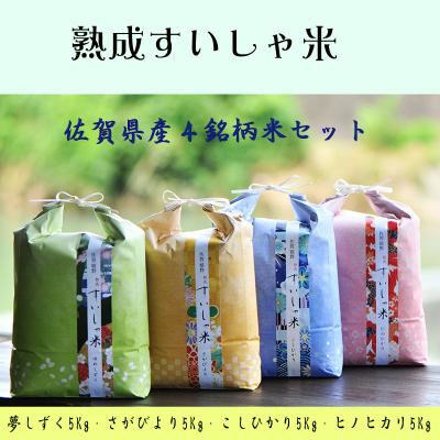 ふるさと納税 嬉野市 佐賀県産4銘柄米セット20kg