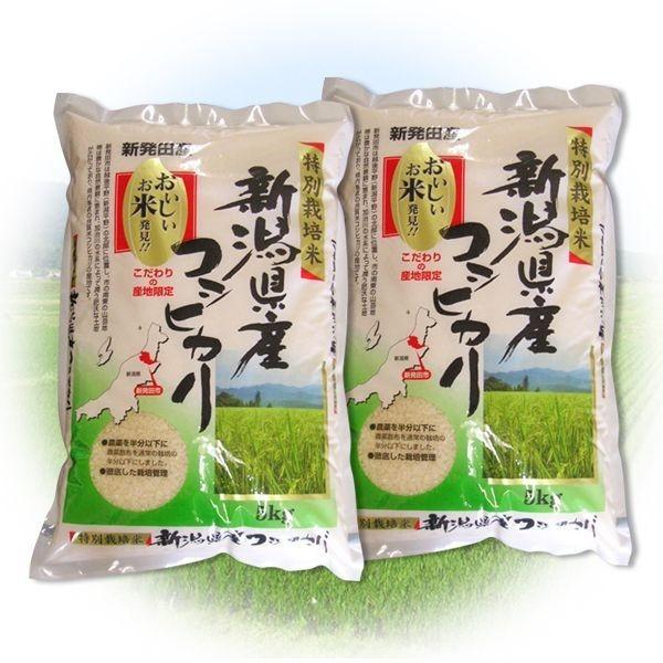 ふるさと名物商品 2020年度産 令和3年産 米 贈答に好評！ 特別栽培米 新潟県産コシヒカリ 10kg(5kg×2個) 代引不可 同梱不可