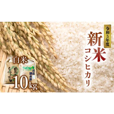 ふるさと納税 令和5年産 阿蘇のお米 コシヒカリ10kg 1袋 白米 熊本県阿蘇市