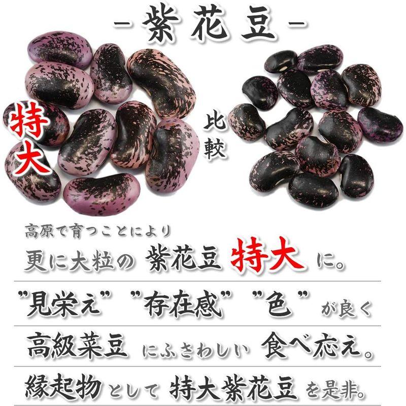 紫花豆特大 (業務用5Kg) 国産 高原花豆 乾物豆類 おせち料理などの煮豆、甘煮、甘納豆などお正月お豆に