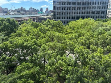 稀有雙敦學區樹海高樓電梯!4房!鼎佳大露臺｜台北市松山區敦化南路一段