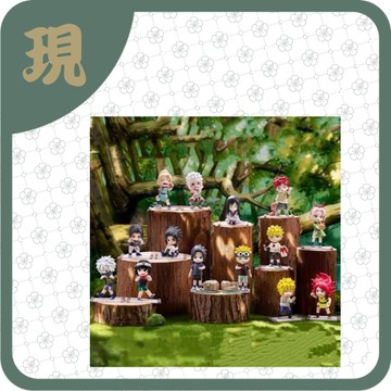 火影忍者疾風傳童年(一中12入4300)