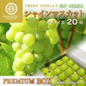 [最短順次発送]  シャインマスカット 20粒 4Lサイズ プレミアムボックス ジュエルボックス 長野 山梨県産 高糖度 マスカット 夏ギフト 暑