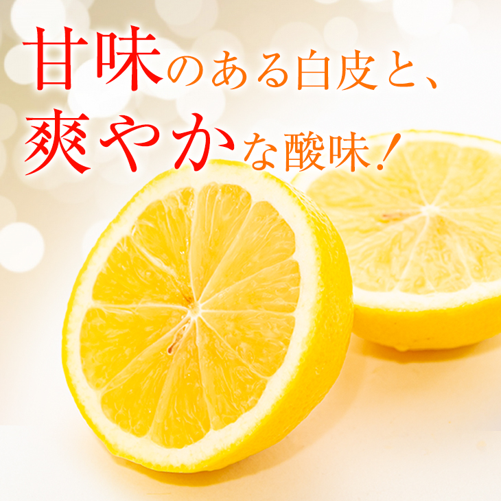 BA55-23 ≪数量限定≫宮浦産日向夏(計5kg以上)　フルーツ　果物　柑橘　みかん　国産