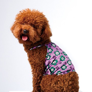 韓國Noradog寵物涼感衣-幸運草先生 寵物衣服 狗狗衣服
