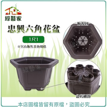【綠藝家】忠興六角花盆 1尺1(加厚材質)