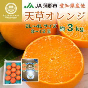 [予約 2023年12月31日必着] 天草 約3kg 8-12玉 2L-4L 愛知県蒲郡産ほか 化粧箱