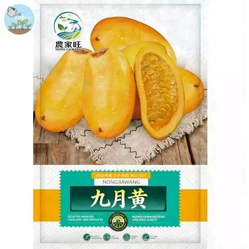 【原廠包裝】九月黃種子（September Yellow）30粒裝 台灣平地可種 酸甜多汁野果苗 木通科水果 盆栽果樹