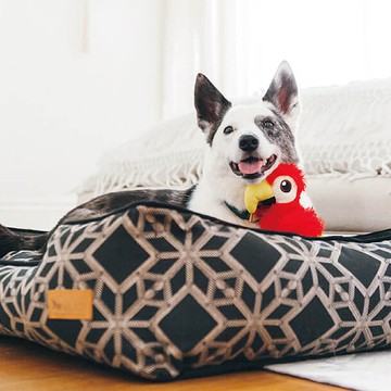 【預購】【頂級寵物床墊】冬至 寵物四邊床組 (2色/4尺寸)