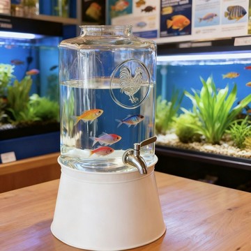 養魚必備🐟️水桶魚缸 有趣的魚缸 水族生態缸 水桶養魚 透明水桶生態缸 水桶變缸製作家用缸 家用桌面透明玻璃魚缸造景瓶