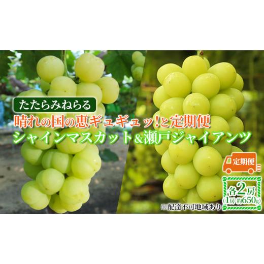 ふるさと納税 岡山県 里庄町 ぶどう 2024年 先行予約 晴れの国の恵ギュギュッ！と 定期便 シャインマスカット  瀬戸ジャイアンツ 各2房（1房約650g）