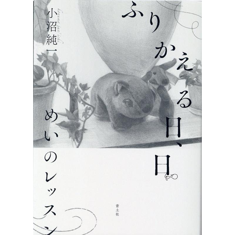 小沼純一 ふりかえる日、日 めいのレッスン Book