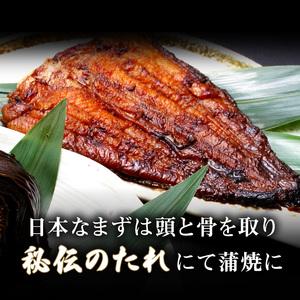 ふるさと納税 日本なまず蒲焼・川魚の晩酌セット 岐阜県海津市