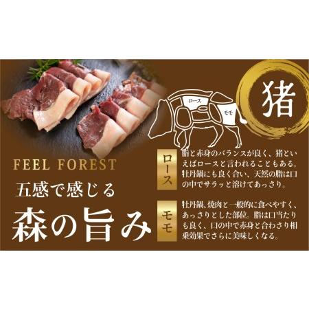 ふるさと納税 飛騨ジビエ 熊肉 猪肉 しゃぶしゃぶ食べ比べ 2種 各150g 熊 猪 肉クマ イノシシ クマ肉 イノシシ肉  ジビエ 鍋用 薄切り 猟師 飛騨.. 岐阜県高山市