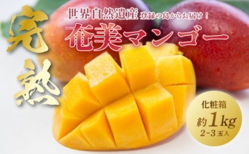奄美大島産トロピカル完熟マンゴー 1.0kg(2～3玉)