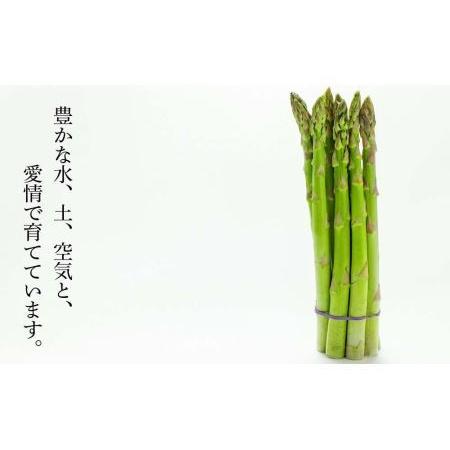 ふるさと納税 2024年分予約開始！喜茂別産 採れたて！グリーンアスパラ 北海道喜茂別町