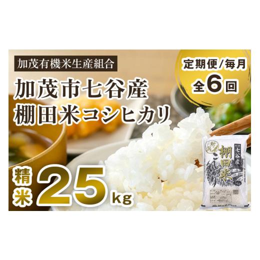 ふるさと納税 新潟県 加茂市 新潟県加茂市 七谷産 棚田米コシヒカリ 精米25kg（5kg×5）白米 加茂有機米生産組合