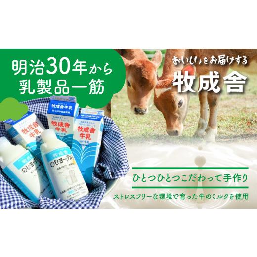 ふるさと納税 岐阜県 飛騨市 ＜牧成舎＞飛騨の乳製品特選セット(アイス・チーズ・ピザ)