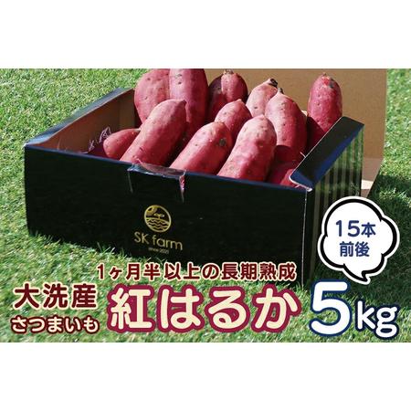 ふるさと納税 大洗産 さつまいも 紅はるか 5kg （15本前後） Sea Sweet 長期熟成 茨城県産 サツマイモ 土付き 生芋 芋 さつま芋 薩摩芋 甘藷 べ.. 茨城県大洗町