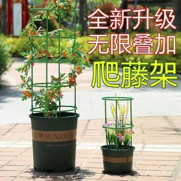 🔥特殺優品🔥🌟可開發票🌟花架子室內傢用支架通用型蟹爪蘭花架蓮花護葉架園藝盆栽支撐桿AS 5ARJ