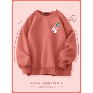 棉致高級感早秋衛衣女2025新款春秋季秋冬女裝春季上衣服寬松圓領