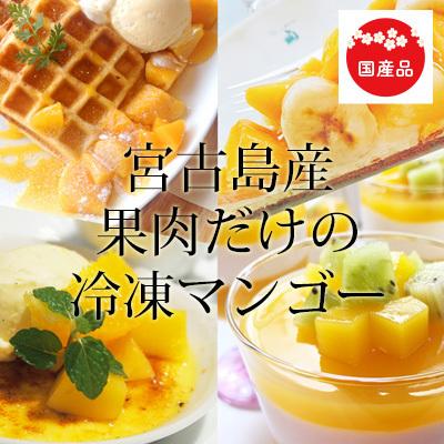 マンゴー 宮古島産 冷凍（国産）1kg　送料無料