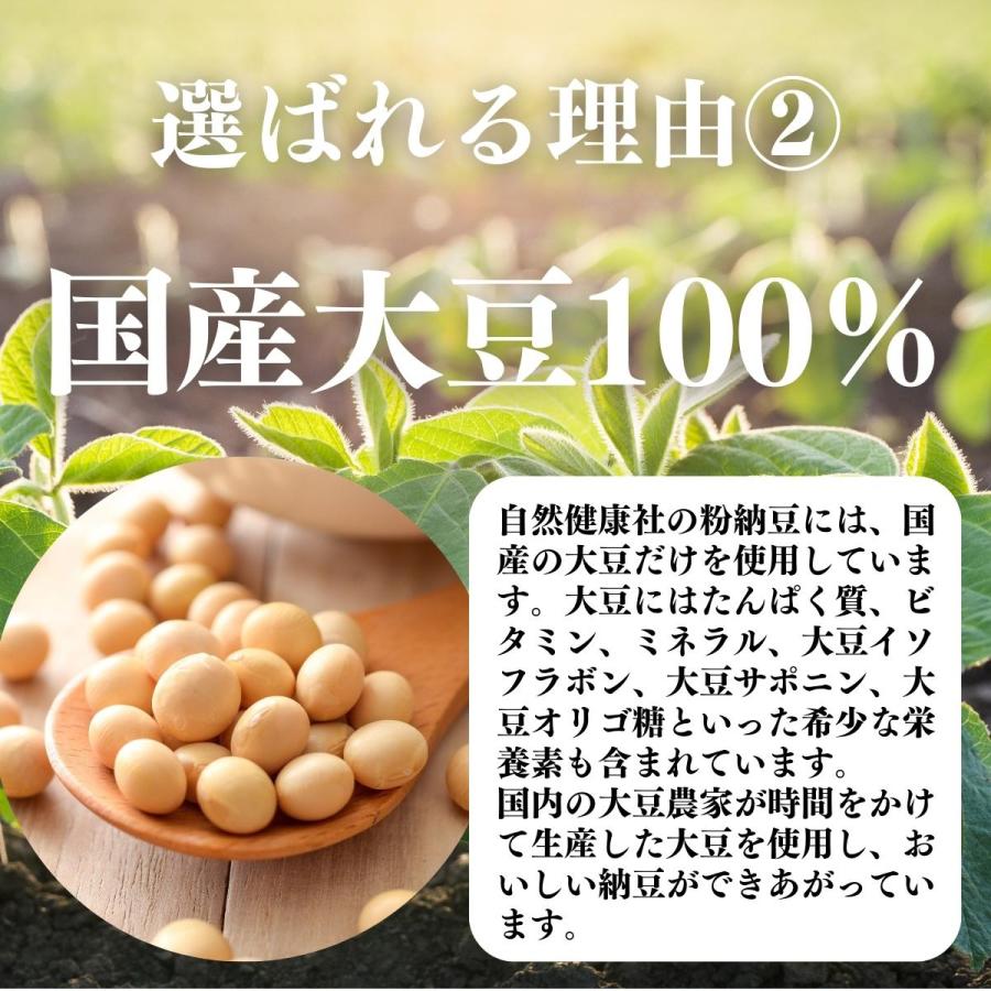 粉納豆 100g×2個 粉末 粗挽き 粉末 納豆 なっとう フリーズドライ