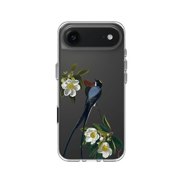iPhone Air Clear Case（相機按鈕） 透明 - The British Library - 美洲鳥譜 ‧ 叉尾霸鶲