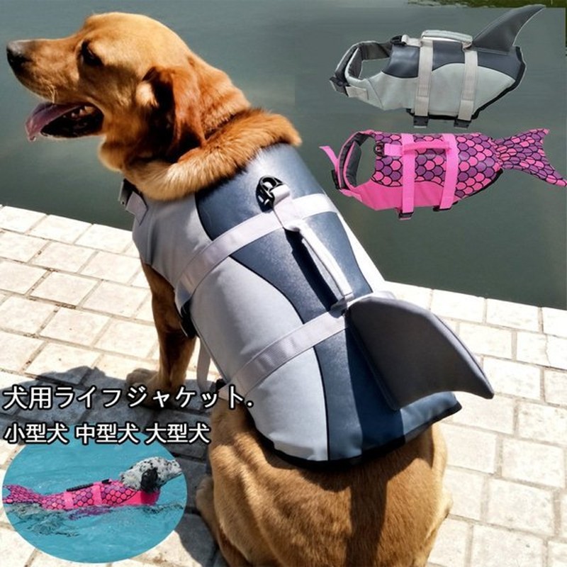 ハンドメイド 大型犬用の体重計 改良版 | monsterdog.com.br