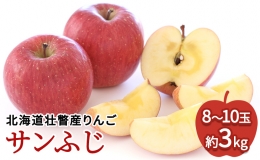 ＜2023年12月上旬よりお届け＞北海道壮瞥町　りんご　品種名「サンふじ」8～10玉約3kg フルーツ 果物 りんご 果樹