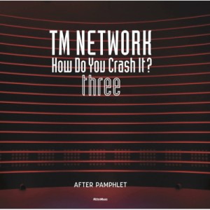 TM NETWORK How Do You Crash It AFTER PAMPHLET three