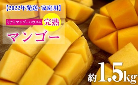 ミナミマンゴーハウスの完熟マンゴー約1.5kg