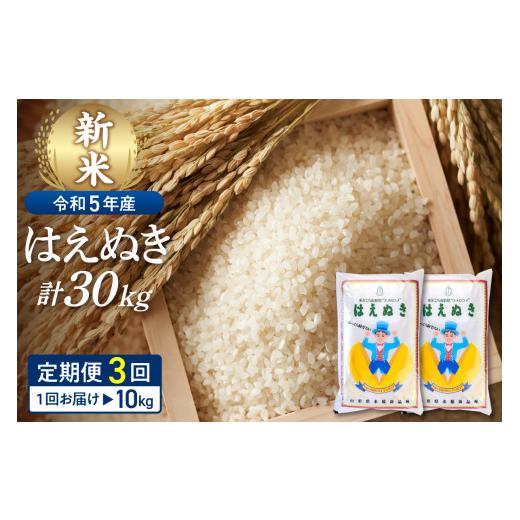 ふるさと納税 山形県 河北町 ※2024年6月後半スタート※はえぬき 30kg定期便（10kg×3回）山形県産