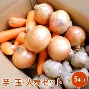 芋・玉・人参セット　5キロ 野菜 じゃがいも にんじん たまねぎ セット 男爵  煮物 カレー 野菜セット