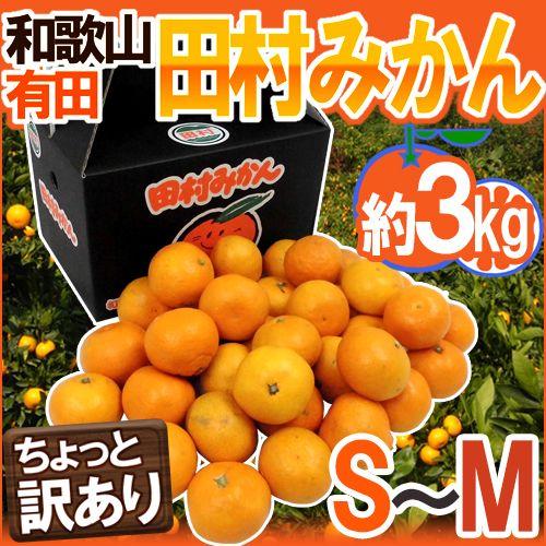 みかん 和歌山有田産 ”田村みかん” ちょっと訳あり S〜M 約3kg 化粧箱 送料無料