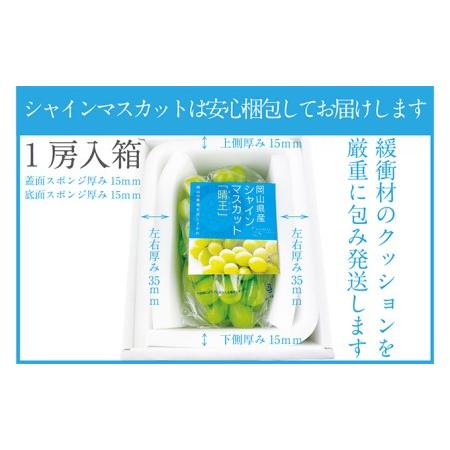 ふるさと納税 ぶどう 2024年 先行予約 シャイン マスカット 晴王 1房 約670g 晴れの国 おかやま 岡山県産 フルーツ王国 果物王国 岡山県玉野市